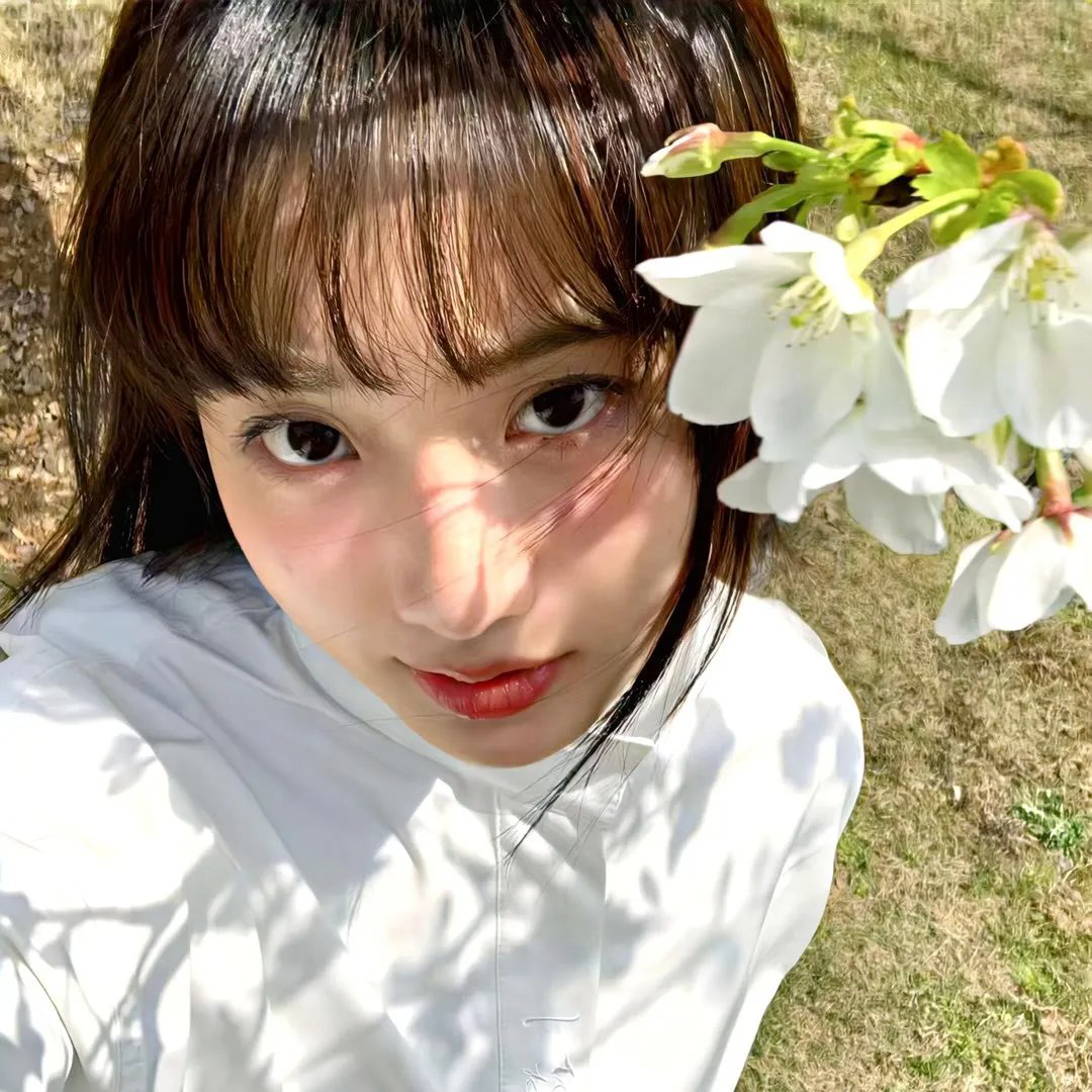 血麒麟之关东宝藏